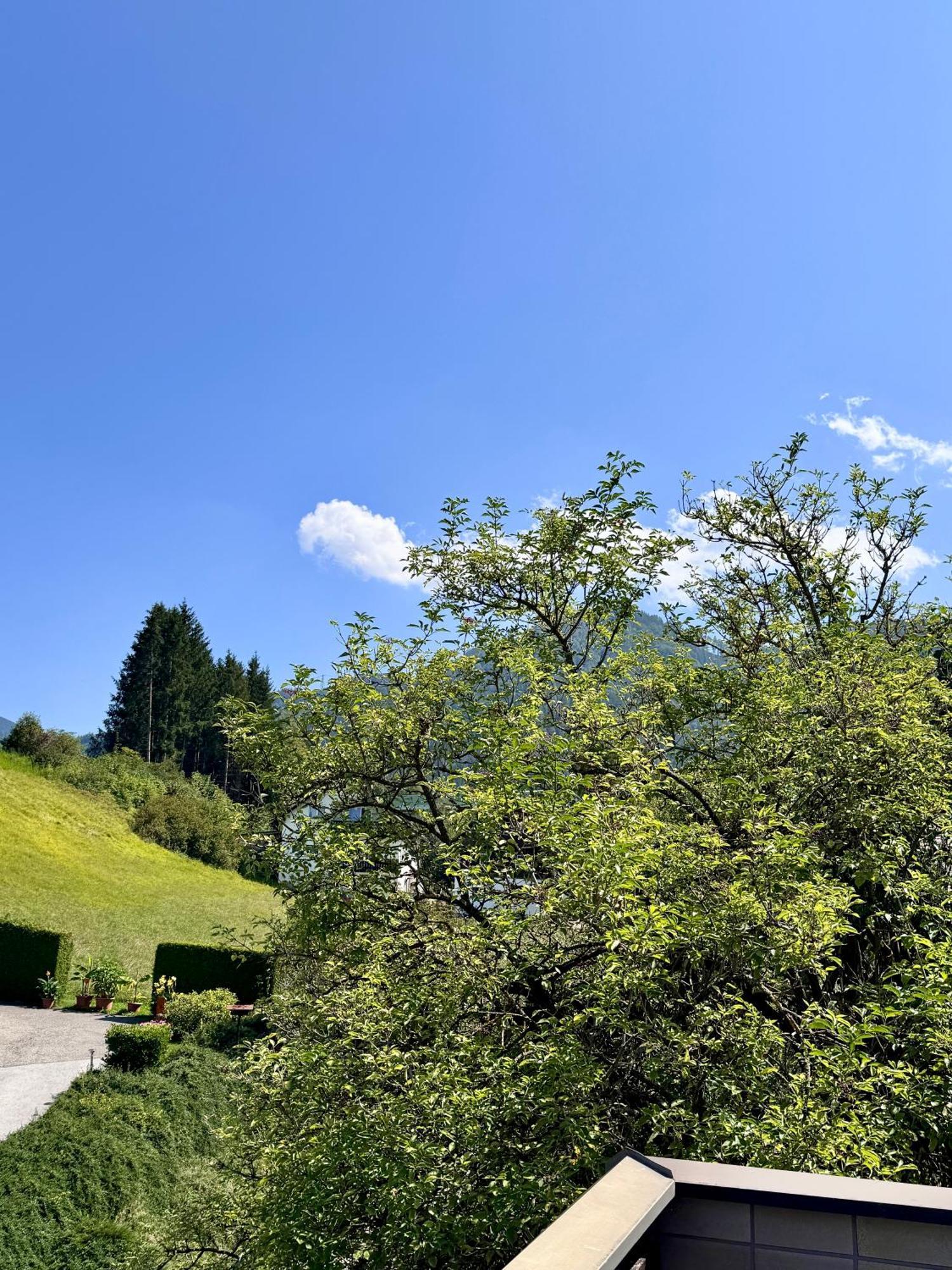克里格拉赫Haus Gruber - Valentina & Gabriel In Der Waldheimat公寓 外观 照片